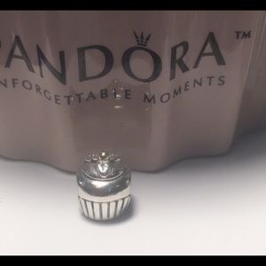 Authentic Retired  Pandora charm